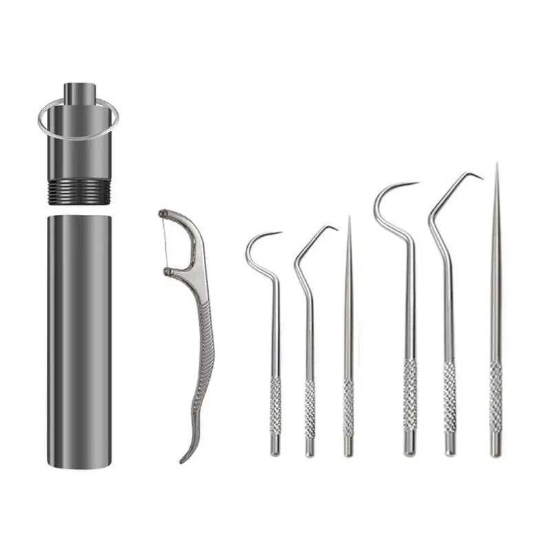 B62B-Flossing Metal Toothpicks Set Reusable Toothpicks Portable Toothpick Floss Metal Oral Care Cleaning Tools,B