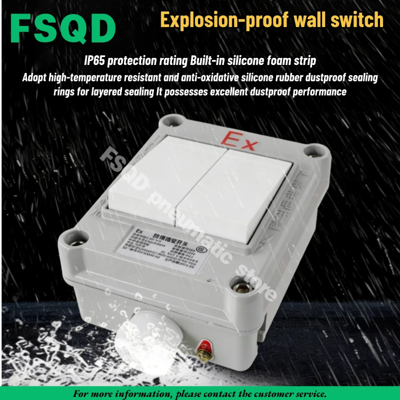 1PC Explosion-proof Wall Switch SW-10A Single / Double Control 86-Type Square Lighting Switch 220/380V  Single  Double switch