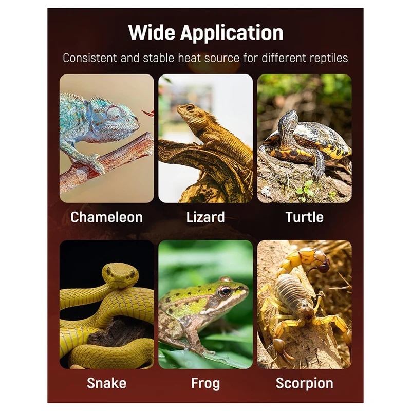 لوحة التدفئة الزواحف لوحة التدفئة الزواحف تحت خزان آمنة لوحة التدفئة السريعة للضفادع الثعابين السحالي Geckos الولايات المتحدة التوصيل