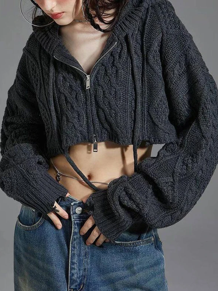 Rockmore Solid Hoodie Sweaters Women Autumn Winter Casual Knitted Loose Crop Sweater Coat Vintage Korean Female Hooded Knitwear