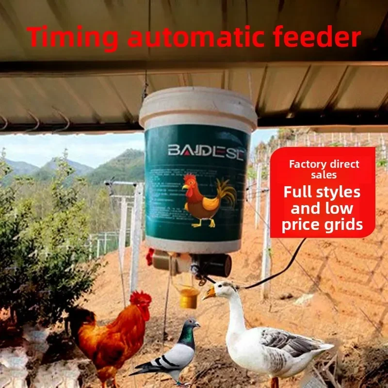 Automatic chicken feeder, duck feeder, pigeon timed feeder, solar powered remote feeding device