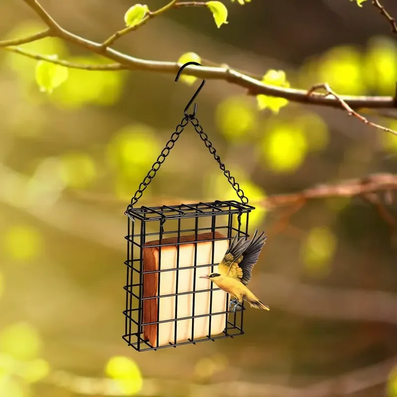 Outdoor Hanging Square Bird Feeder for Bread Fruit Hummingbird Anti Escape Design No Pulley Barbed Wire Protection