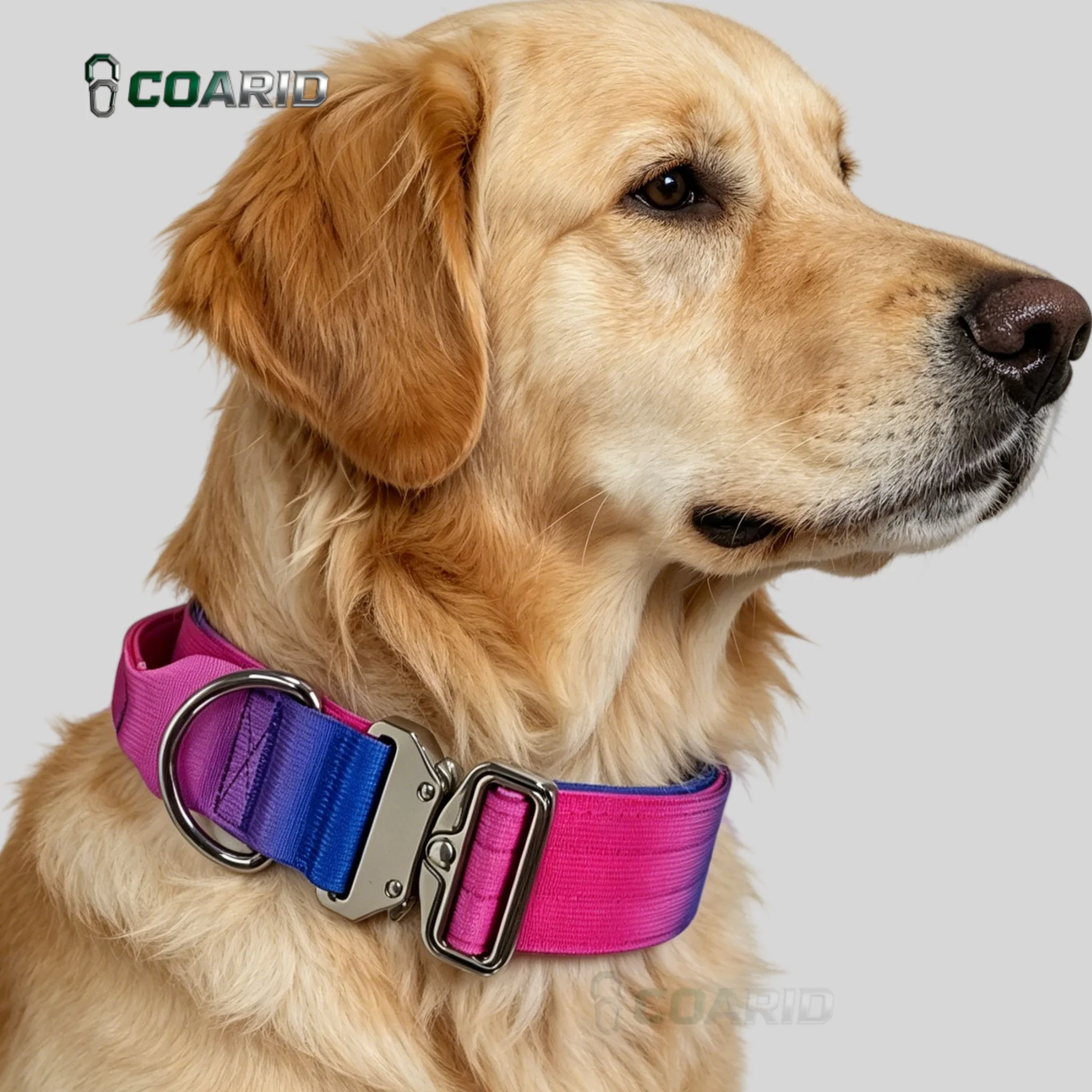 

Dog Collar Gradient Color Nylon Pet Collar Adjustable Lightweight Durable Reflective Collar for Small Medium Large Dogs Puppy Fa