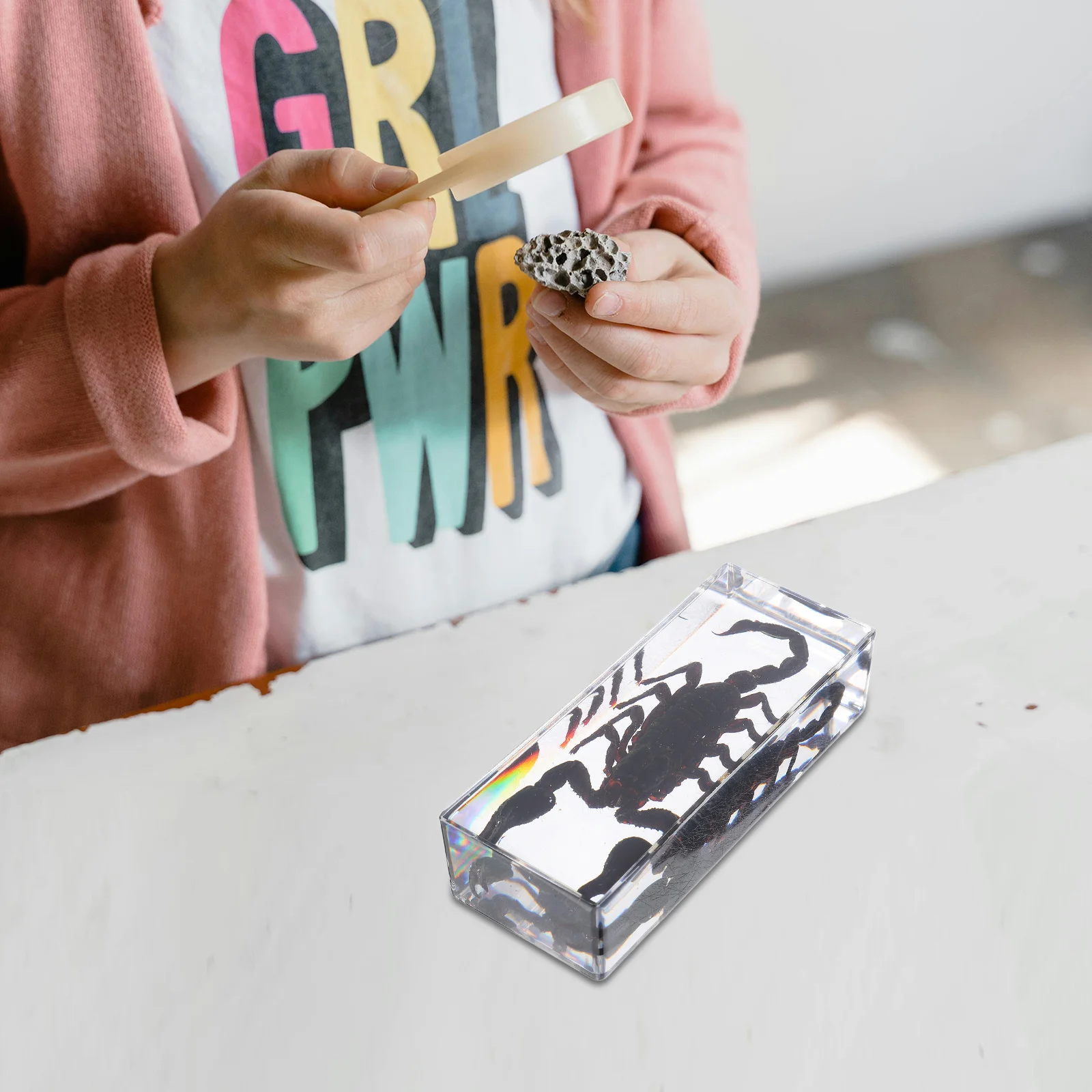 Preserved Insect Specimens Scorpion Paperweight Transparent Resin Multifunctional Home Office Decor Unique Gift Educational