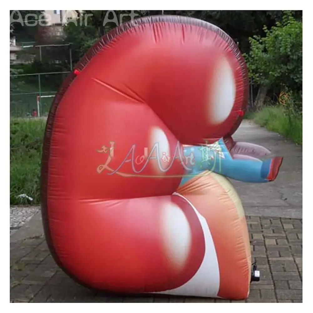 Giant Outdoor Customized Inflatable Kidney Model  Replica for Education Made in China