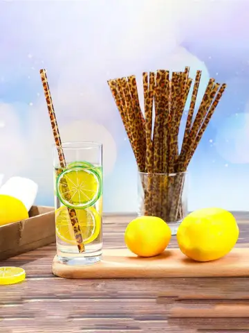 10pcs Leopard & Cheetah Print Reusable Straws Set 9-inch with Cleaning Brush Perfect for Safari Wildlife Parties Iced Coffee & 20/30oz Cups