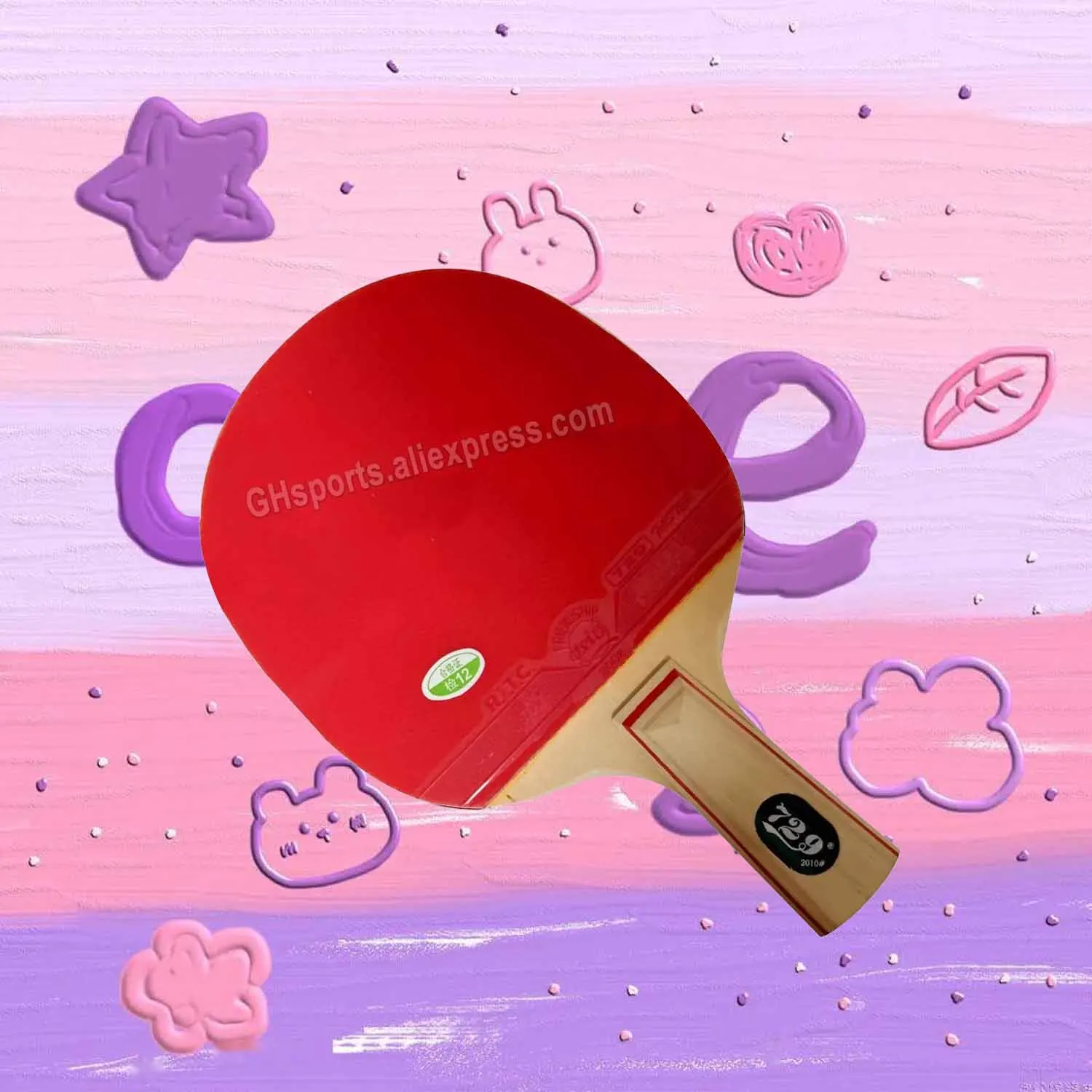 

RITC 729 Friendship 2010 Pips-In Table Tennis Racket 2010