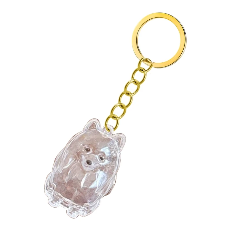  Pet Memorial Keychain For Carrying Dog Hair Remembrance Plastic Case