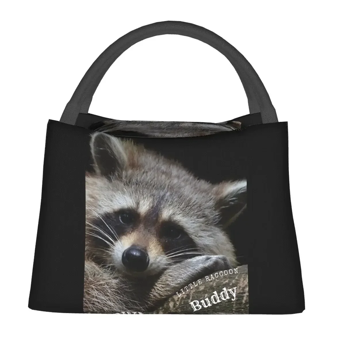 Little Raccoon Buddy Panda Lunch Bags Insulated Bento Box Waterproof Lunch Tote Picnic Bags Cooler Thermal Bag for Woman Girl