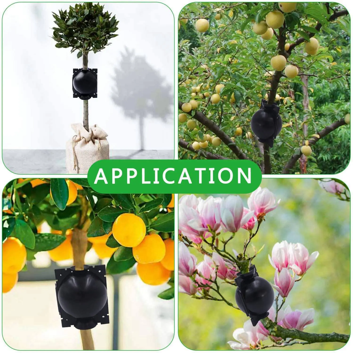 SLQZT 10Pcs Reusable High Pressure Ball Plant Rooting Growing Box for Plants Garden Tool Planting S