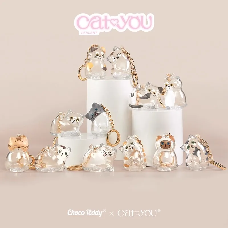 

Подвеска для сбора шерсти домашних животных Cat & You, слепая коробка в форме кошки, прозрачная сумка для хранения, брелок для ключей, загадочная коробка, коллекция, подарок