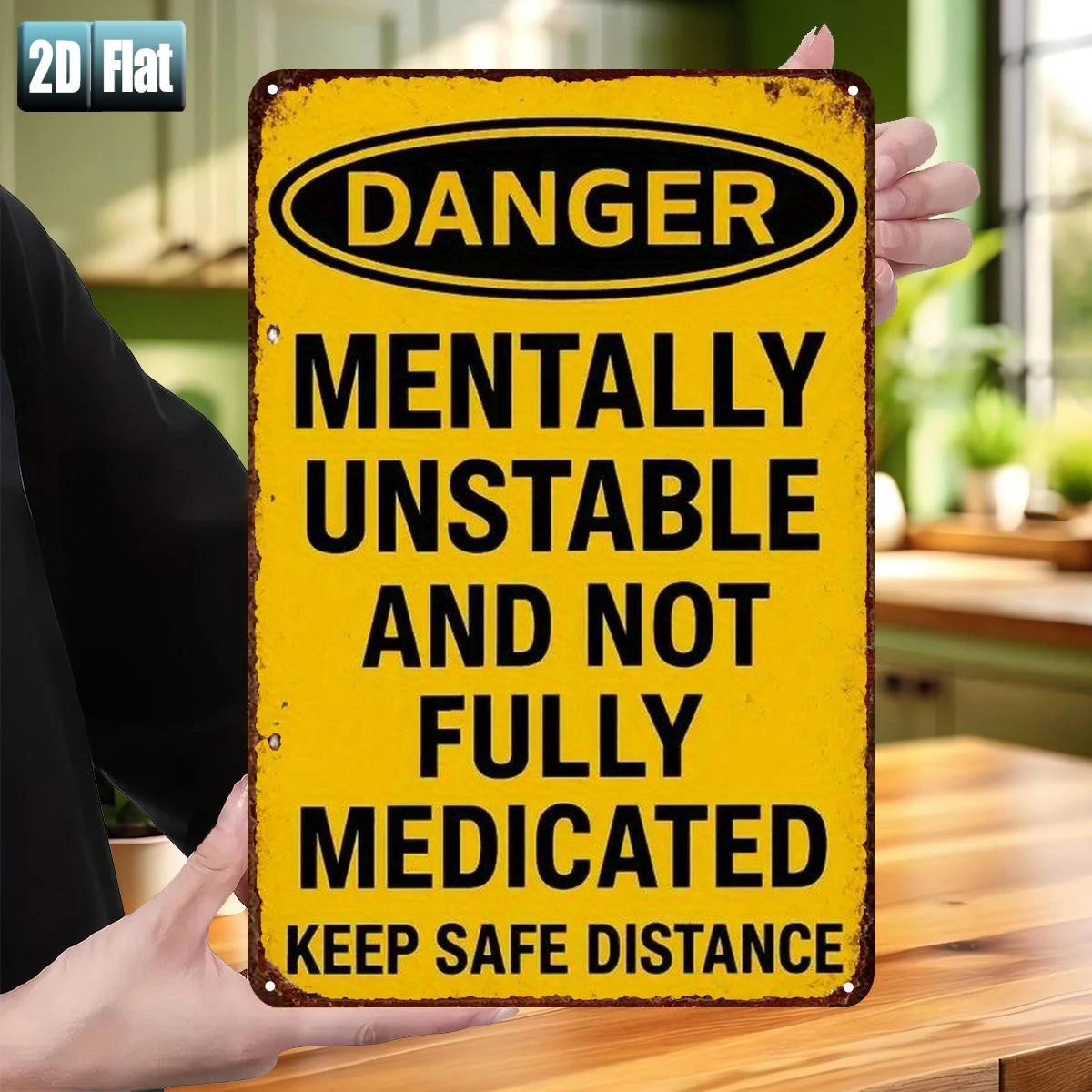Danger Warning: Mentally Unstable and Not Fully Medicated - Please Maintain A Safe Distance Iron Metal Iron Sign