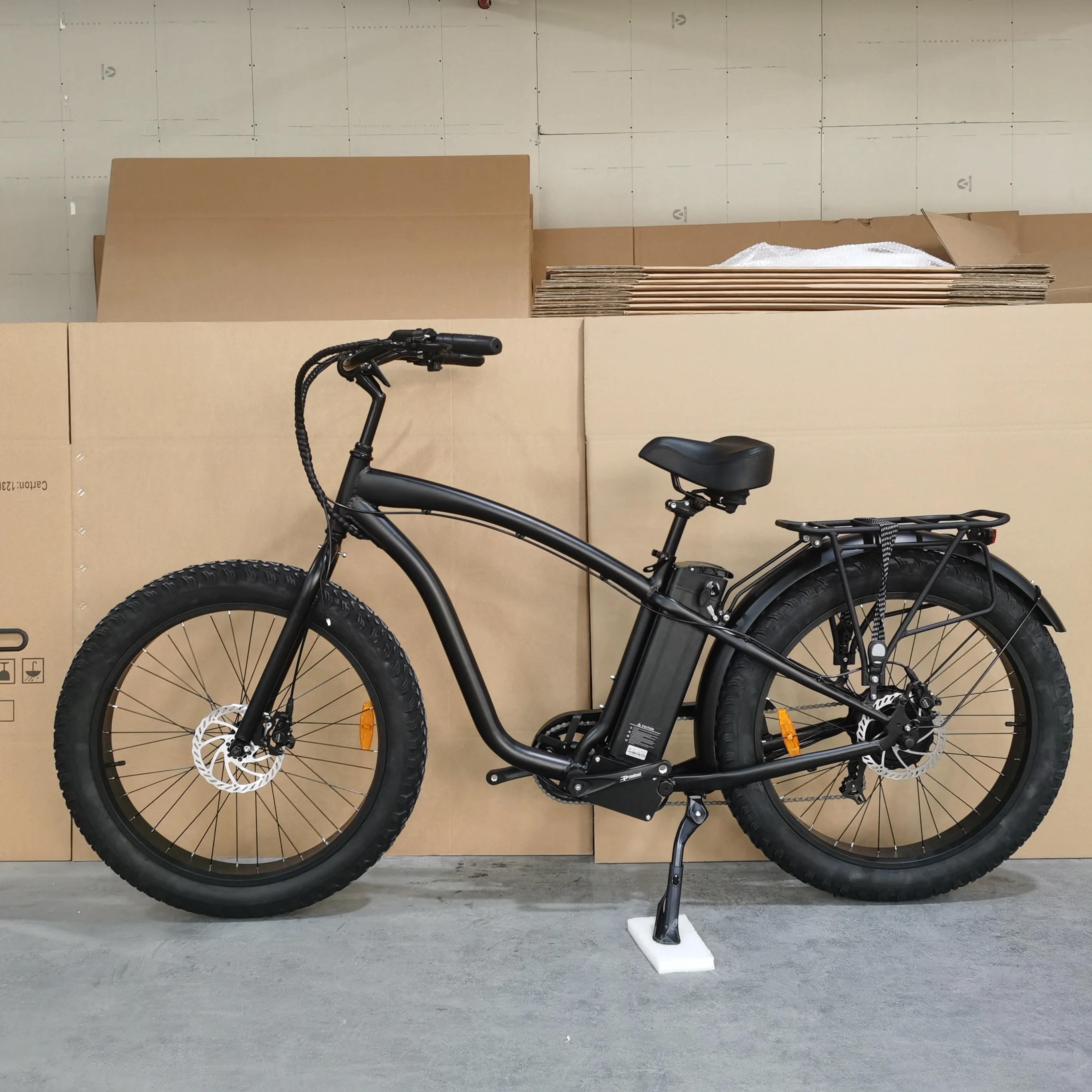 2022 Ristar EN15194 CE Certificate Wholesale Adult 250w 36v/48v Powered Fat Tire 2 Three Wheel Bike Bicycle RSD505 Quality Ebike