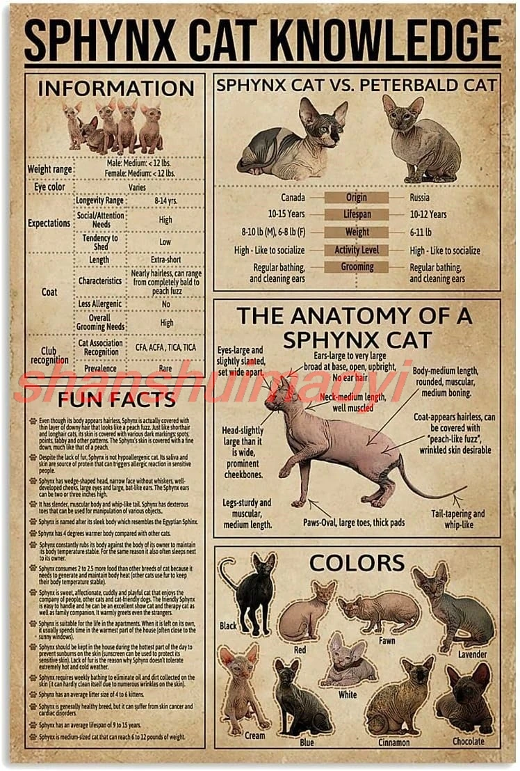 Panneau rétro en étain 8x12 pouces, connaissance du chat Sphynx, affiche multi-tailles pour amoureux des chats Sphynx, panneau mural, décor artistique rétro pour signe H sha