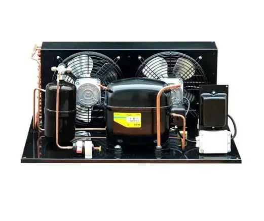 #12VDC Mini Compressor Condensing Unit With Micro Channel Condenser Small Refrigeration Compressor Condensing Unit