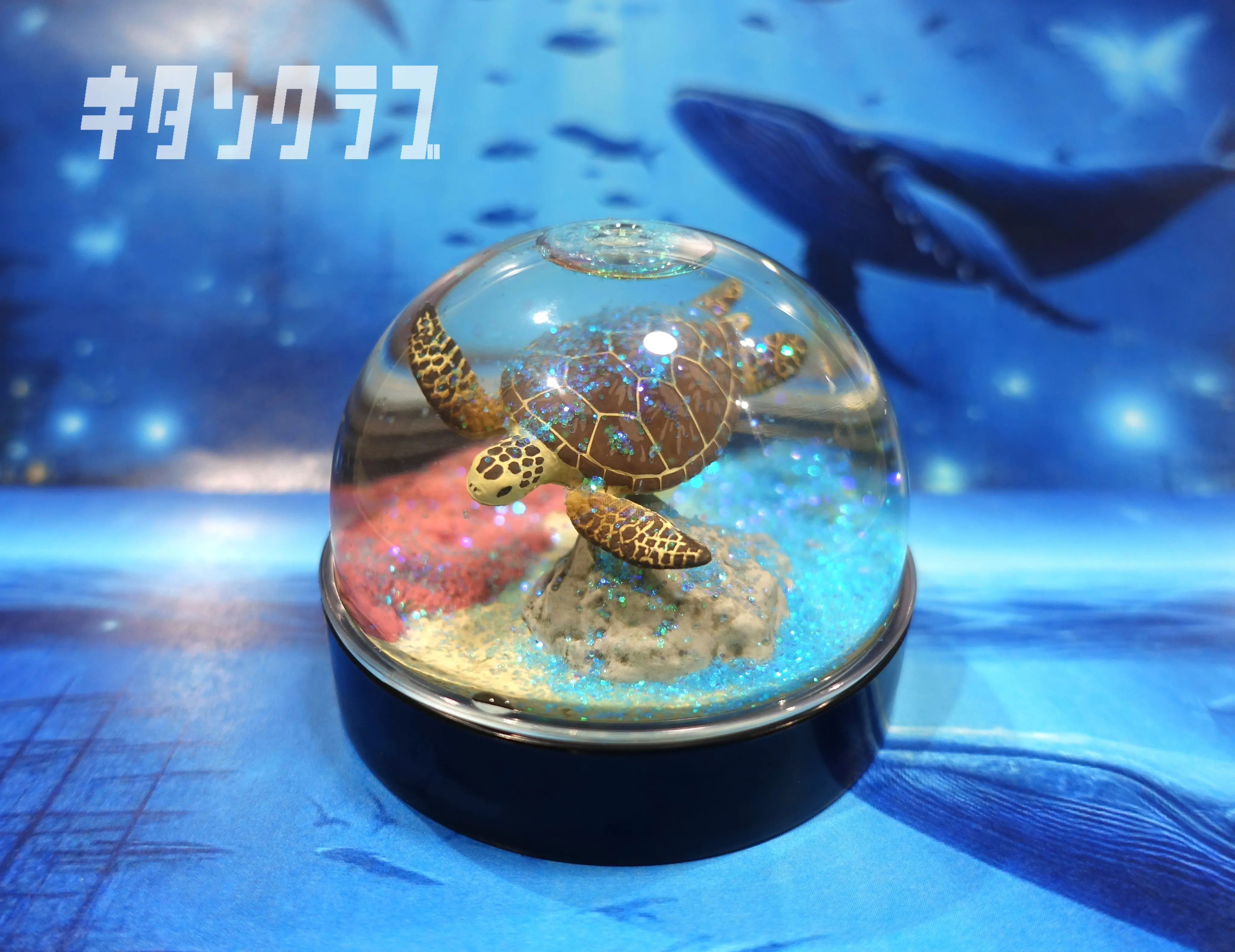 KITAN capsule toys WaterDomeFactory Marine Life miniature Aquarium sea turtle Spotted garden eel Humboldt penguin snow globe