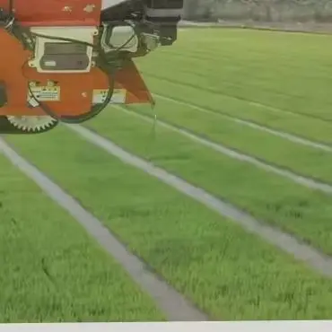 Rice Seedling Tray Machine Automatic Electric Fuel-Powered Dry Seedling Rice Seedling Tray Sowing and Soil Covering (Customized)