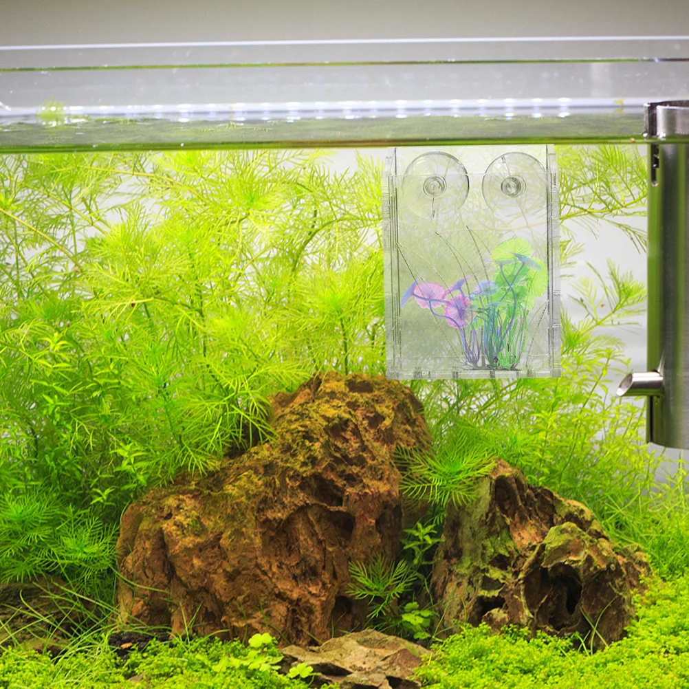 

3Pcs Water Plant Cup Aquarium Planter with Suction Cup for Fish Tank Decorations Hanging Aquatic Planters for Healthy Root