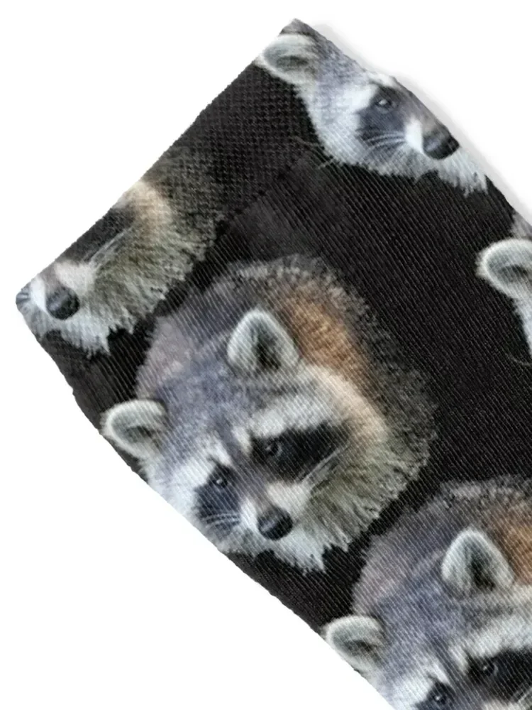 Raccoon Socks crazy retro gym cycling Boy Socks Women's