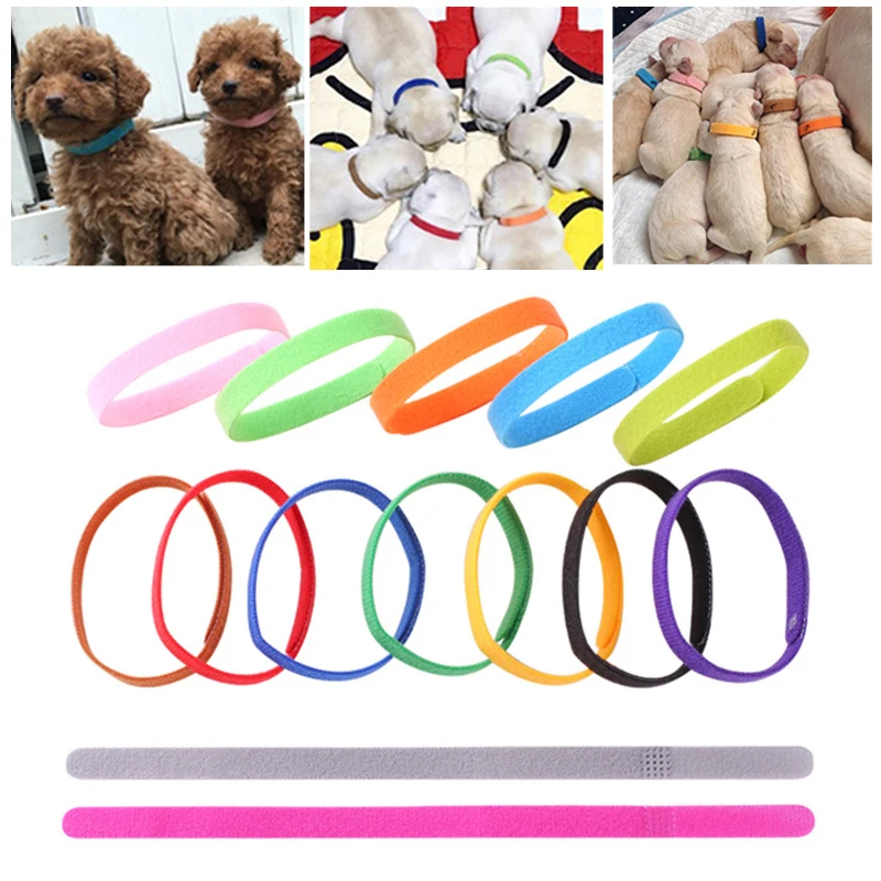 15 Pcs/set Puppy Newborn Pets Identify Collars Reusable Kitten Identification ID Collar Nylon Small Whelping Pet Dog Cat Collars