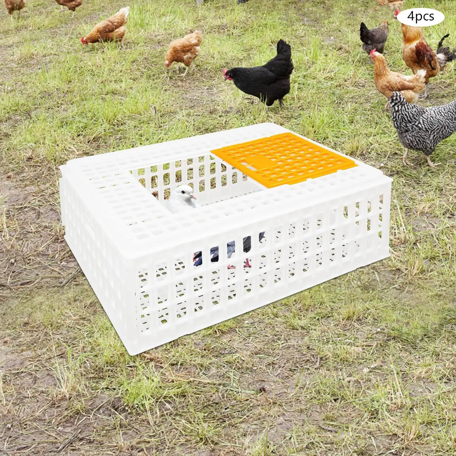 4 Pcs Poultry Carrier Crate, Plastic Chicken Transport Cage, Stackable Chicken Carrier Basket Box with Ventilation Holes & Top S