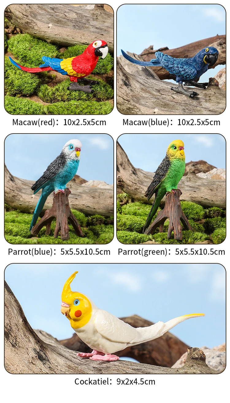 Realistische Vogelfiguren-Set - Papageien-Lernspielzeug für Kinder Simulierte Plastik-Tiermodelle Tierfiguren-Sammlung – Detail 8