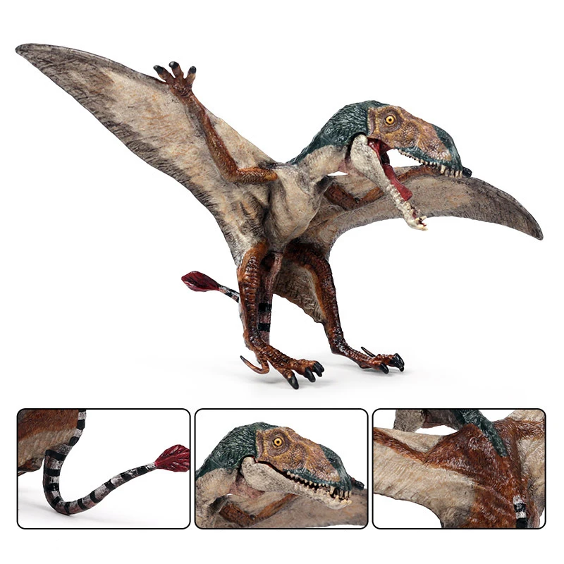 Mô Phỏng Dinosaurio Sinh Học Giáo Dục Pterosaur Allosaurus Mô Hình Khủng Long Dinosaurios Đồ Chơi Cho Trẻ Em Kid Tặng 4-6Y