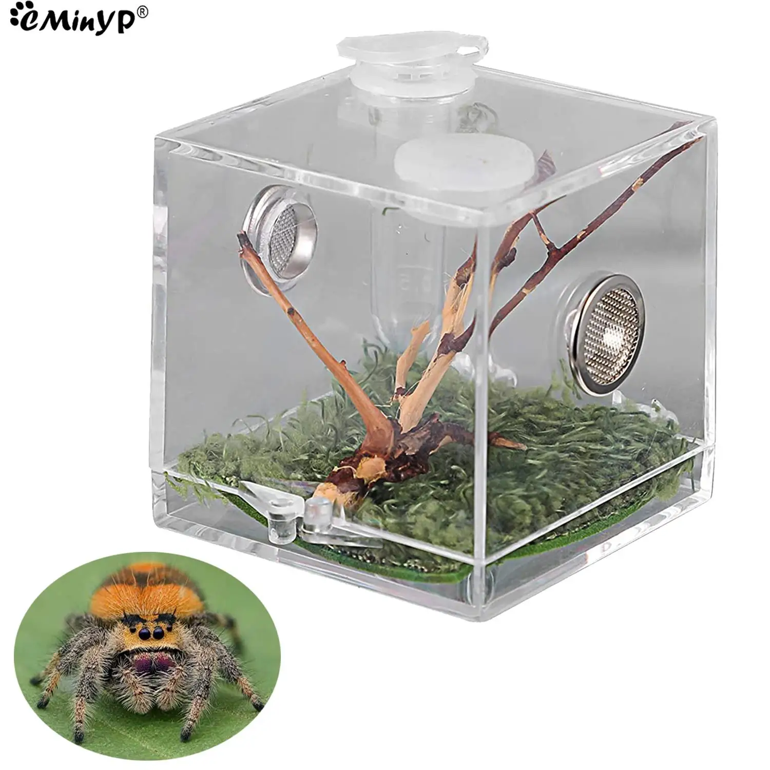 S/M Spider Reptile Terrarium Acrylic Reptile Breeding Box Terrarium Accessories Insect Box For Spider Cricket Snail Tarantula