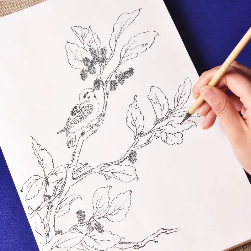 Meticulous Drawing Manuscript Color Ripe Rice Paper Vegetable and Fruit Line Drawing for Beginners Watercolor Chinese Painting