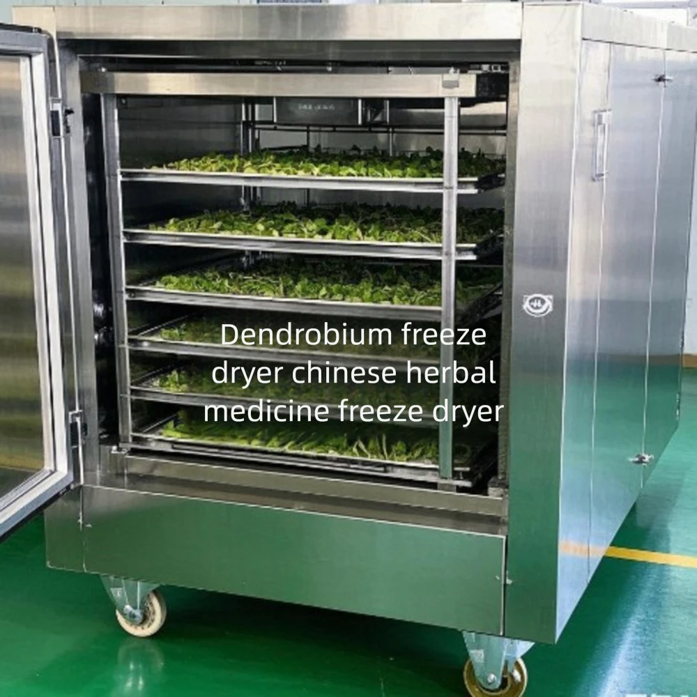 

30 Square Meters Medicinal Materials Ganoderma Lucidum Dendrobium Flower Low Temperature Traditional Chinese Medicine Vacuum