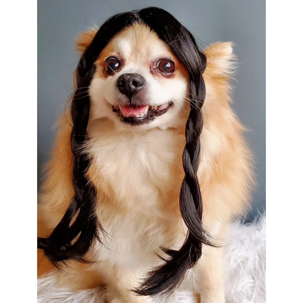 

Cute Pet Braided Wig Black Color for Dog or Cat Halloween Costume Pet Accessories Spooky Season Decorations Fall Holiday Gifts