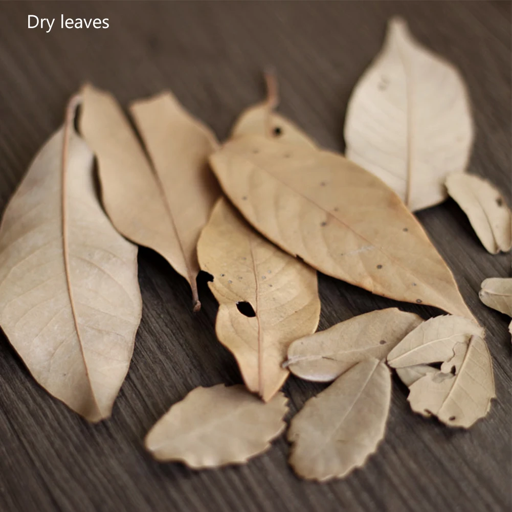 1 مجموعة مفيدة فروع الصنوبر الاصطناعي كابينة تصوير الدعائم فتاة DIY بها بنفسك الحرفية صور الدعامة الغابات الطفل للتصوير الفوتوغرافي Selfie الدعائم