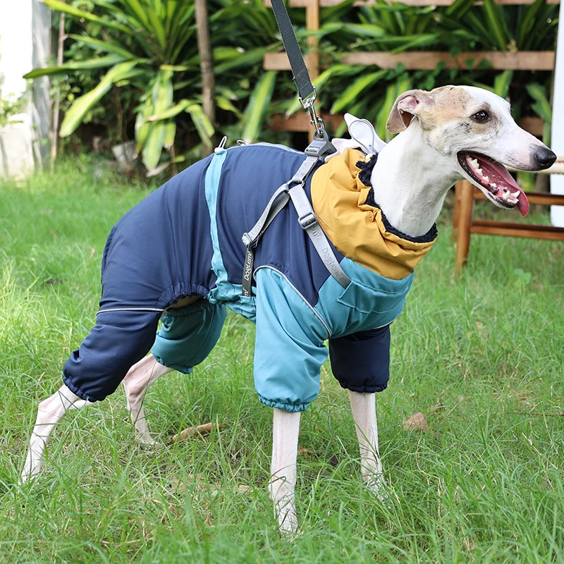 

Winter Warm Dog Clothes Water Repellent Dog Jumper for Small Med Big Dogs Cute Shark Fin Snow Dog Overalls Pet Coat with Harness