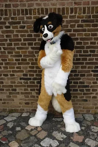 Adult Long Fur Furr…