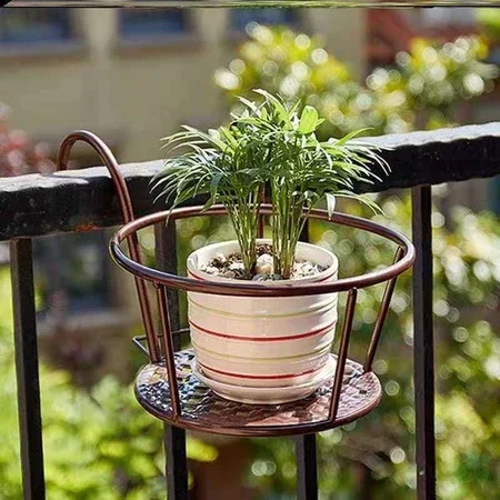 Macetas de jardinería para ext - Bonsai Garden Art reseña y precio
