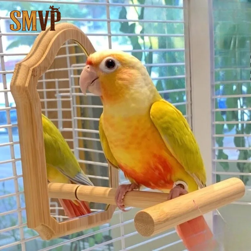 Bird Mirror with Wooden Perch Vintage Cage Accessory for All Small To Medium Birds Interactive Play and Self-Exploration Toy