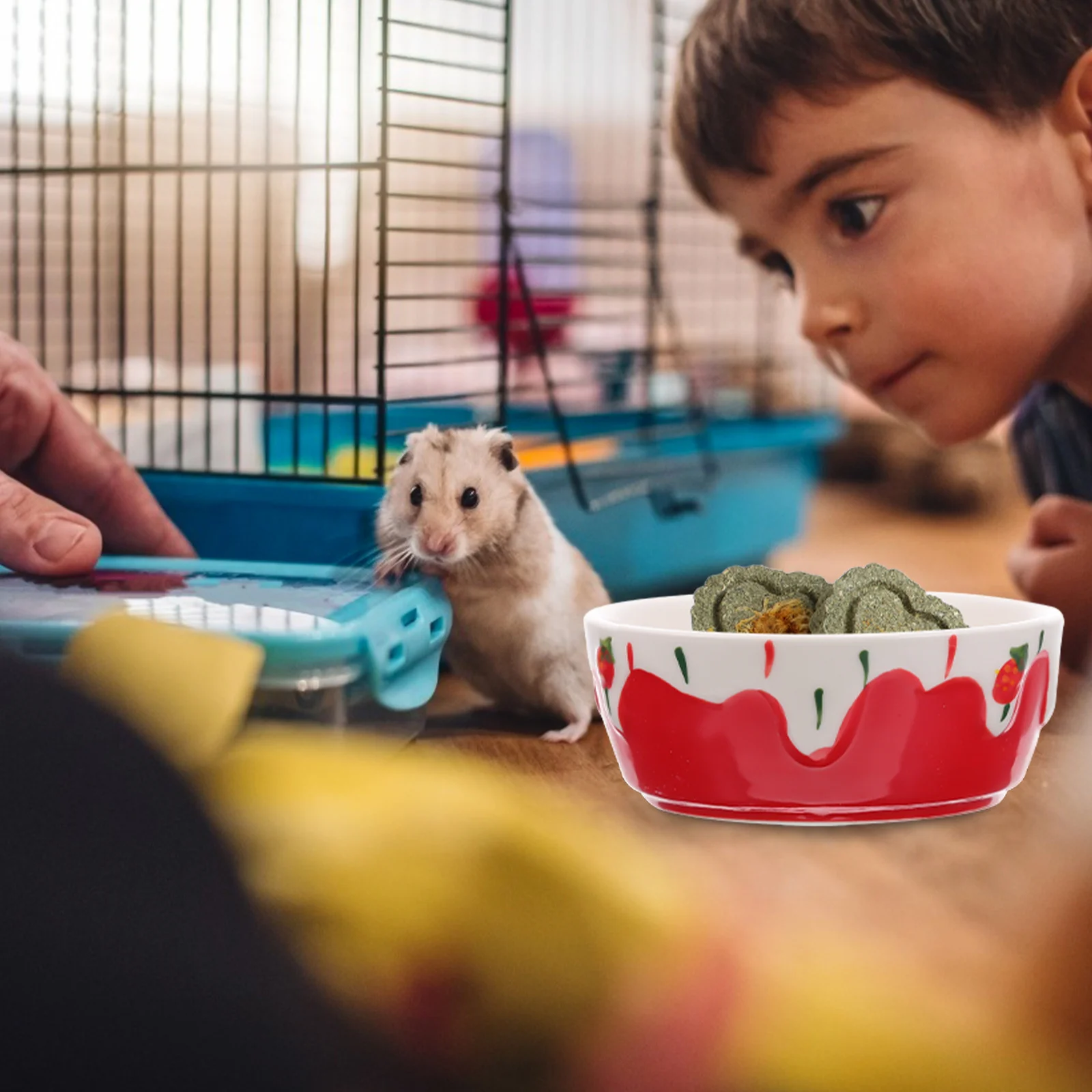 

Guinea Pigs Bowls Hamster Small Feeder Water Chinchilla Pet Food Animal Feeding Dish