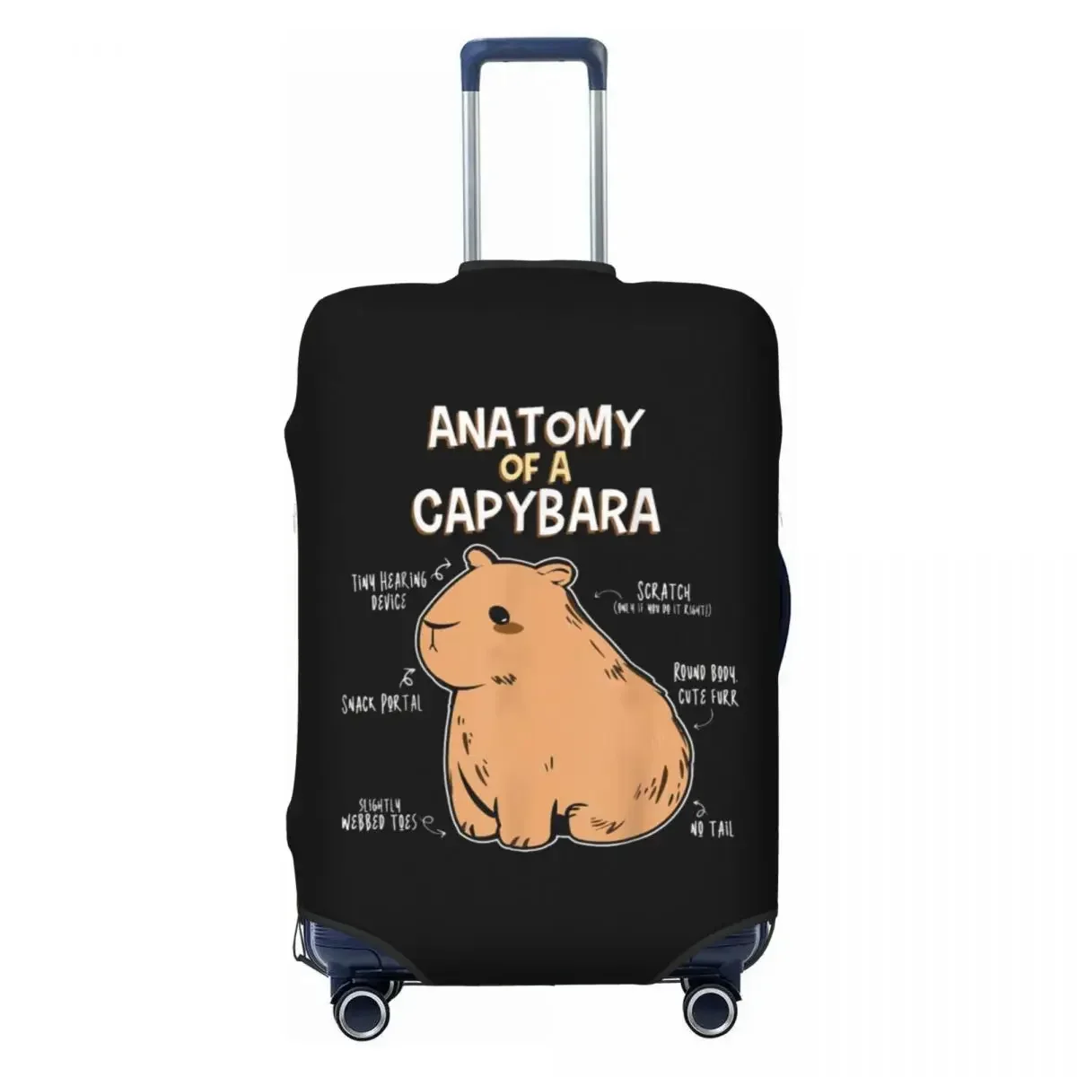 

Custom Anatomy Of A Capybara Luggage Cover Elastic Travel Suitcase Protective Covers Suit For 18-32 inch