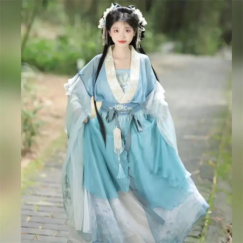 Robe Hanfu traditionnelle chinoise pour femmes, broderie de prairie, costume de danse folklorique de scène, rétro, dynastie Son