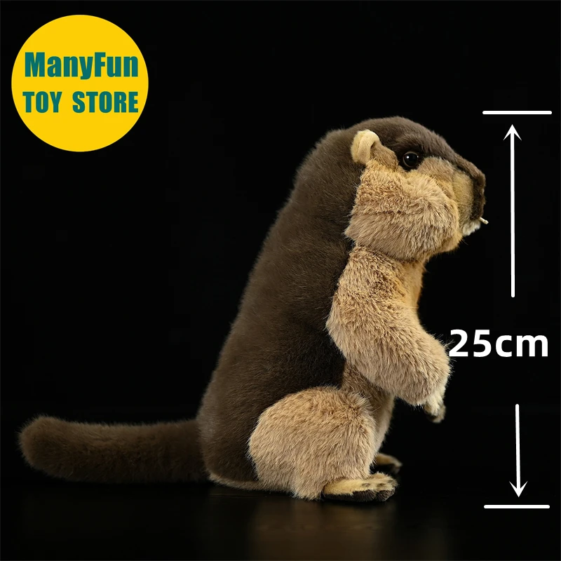 Realistic Groundhog Plush Toy High Fidelity Mountain Beaver Plushie Lifelike Marmot Stuffed Animal Simulation Doll Toy Gift