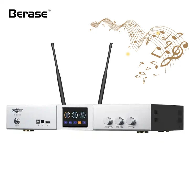 Berase KS-600 Karaoke eindversterker 2 draadloze microfoons Processor Afstandsbediening eindversterker met Bluetooth