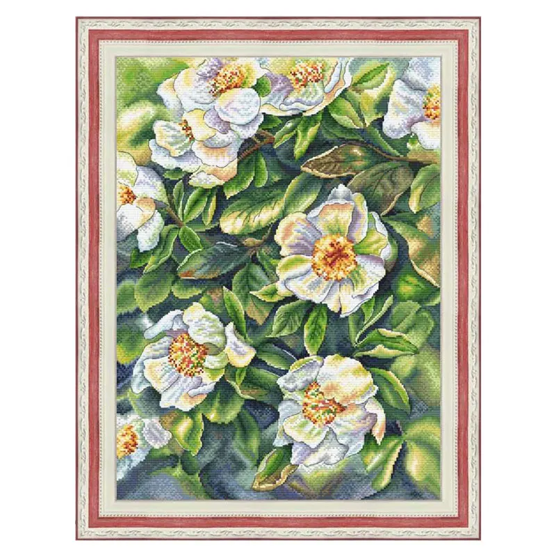 Fishxx Cross Stitch Kit Full Embroidery Hanging Picture B1691 White Peony Precision Printing