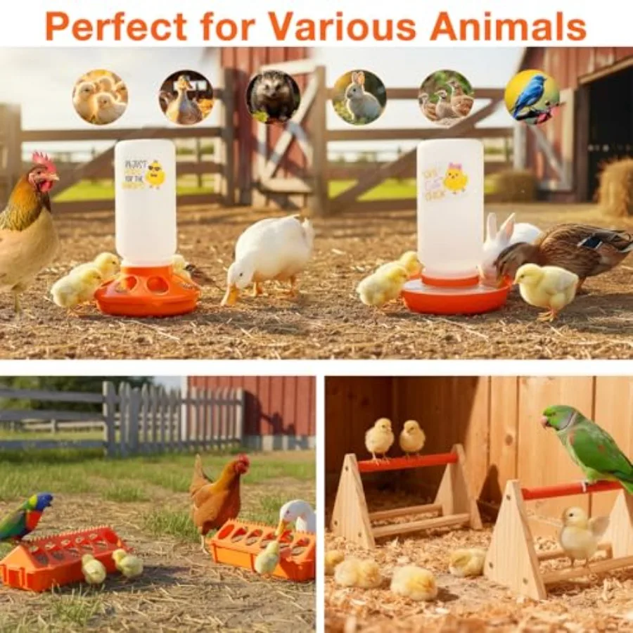 【Spot goods】Chicken Feeder and Waterer SetAutomatic 1L Chick Feeder and Waterer with 2 Wooden Perch Baby Chicks Supplies for Du view 6