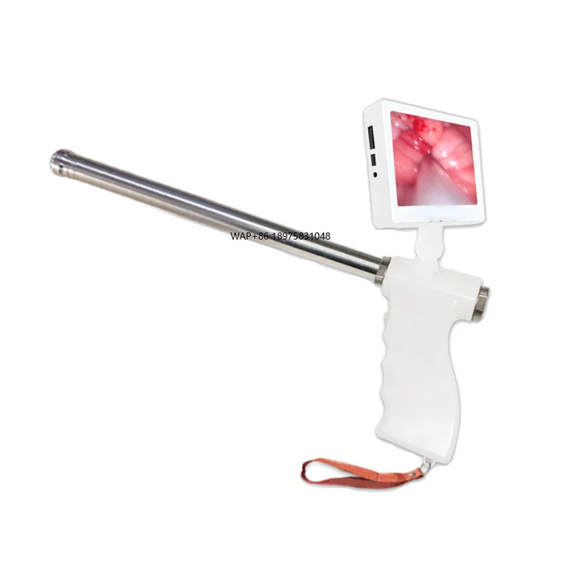Visual disposable electric insemination for cattle breeding improvement breeding donkey frozen semen large size