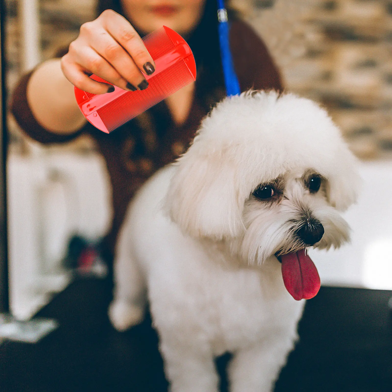 

12Pcs Fine Toothed Double Edged Comb Anti-Static Brown Plastic for Head Detection Suitable for Adult Child Hair Care Tool