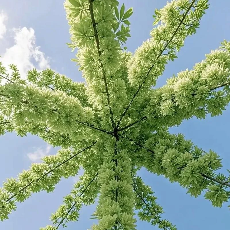 Localisateur GPS portable pour enfants, personnes âgées et alarme anti-perte personnelle, traceur 4G, appel d'urgence SOS, appareil de localisation avec appels bidirectionnels