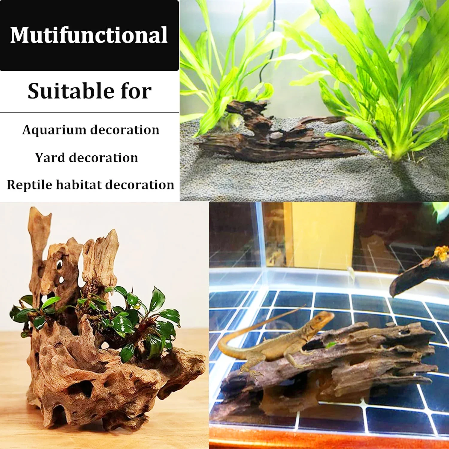 drift wood extra large aquarium Fish tank Shrimp wood Fish rest hole Natural Driftwood aquarium xxl Tree Trunk Drift wood