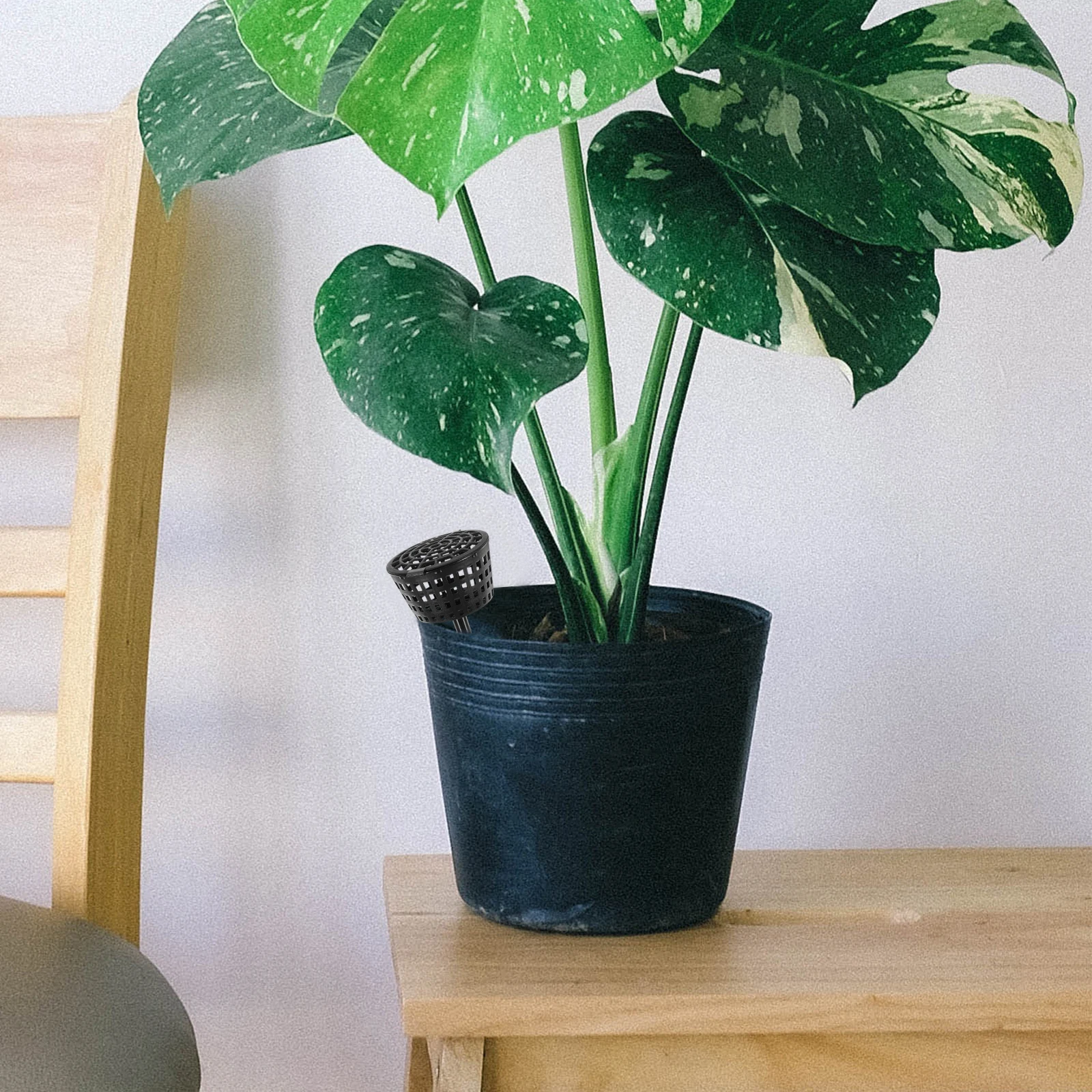 

10Pcs Fertilizer Box Plastic Basket Lid Bonsai Fertilization Tool Orchid Spikes Gardening Container Plant Supply