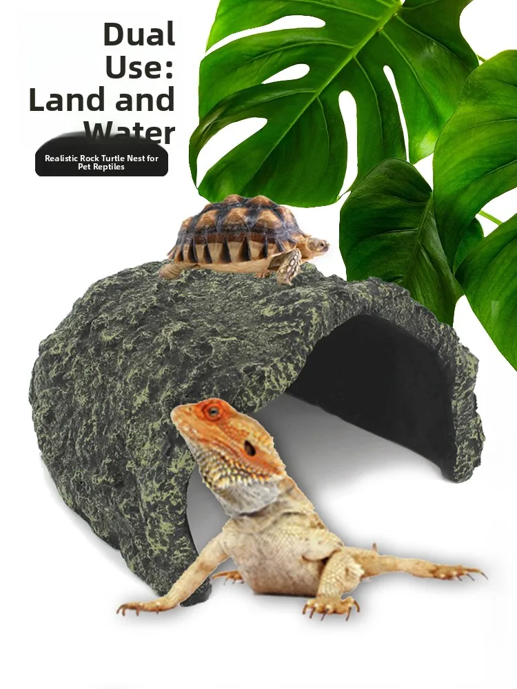 Extra Large Turtle …