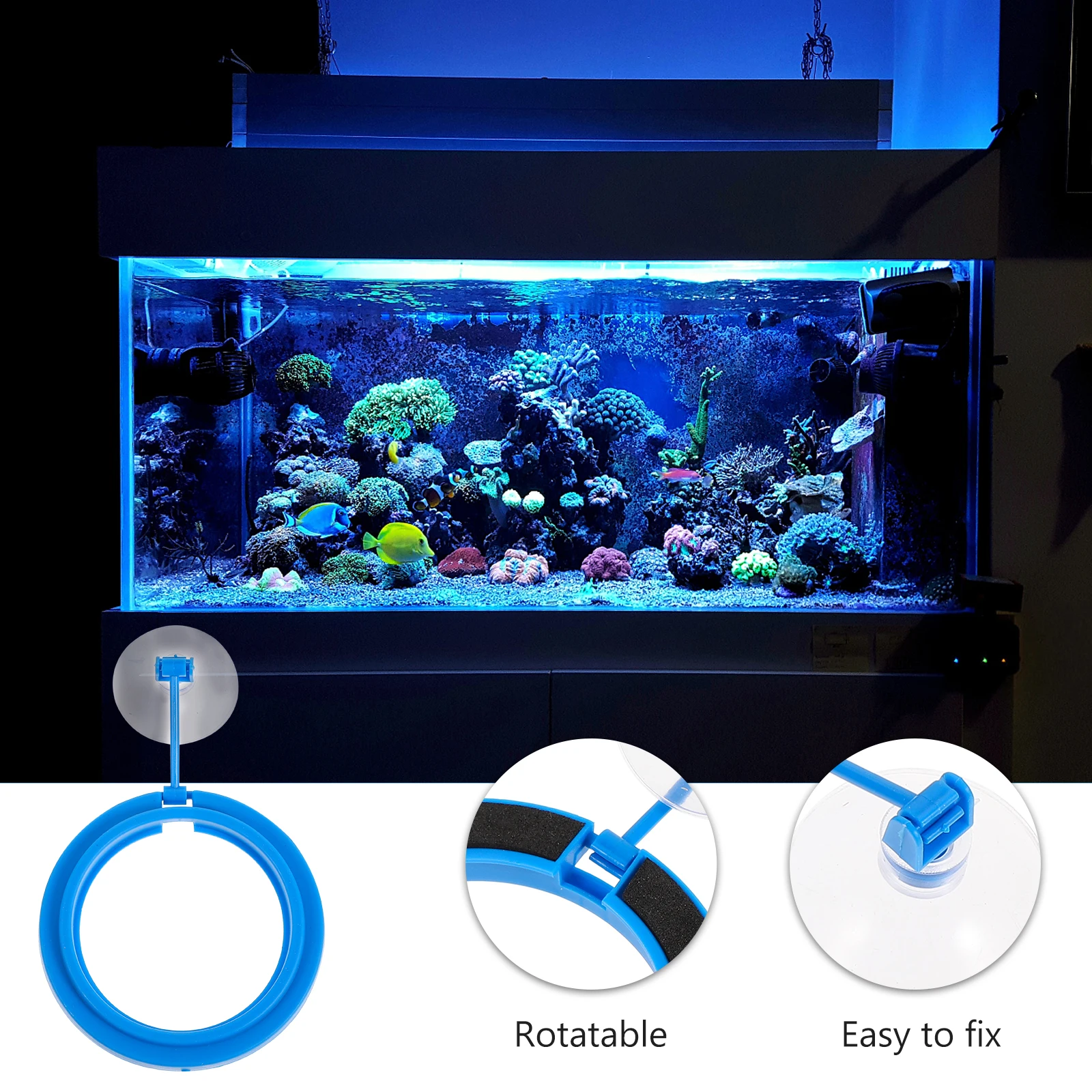 

3 Pcs Fish and Food Feeder Floating Tank Supplies Feeding Circle Chic Ring Round